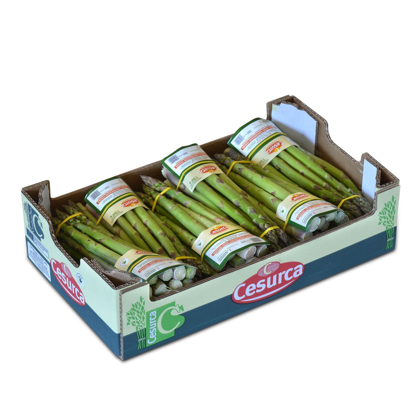 Caja de 6 uds
