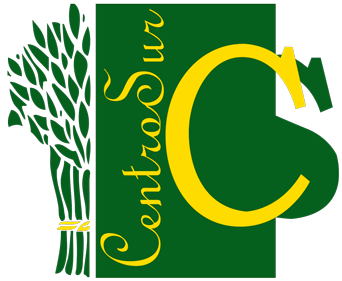 Logo Centro-Sur