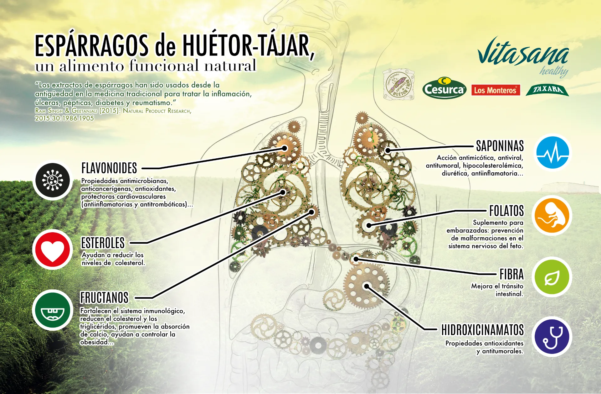 Informacion saludable